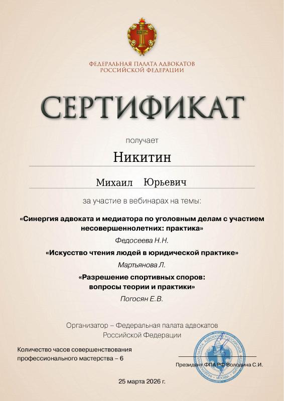 Синергия адвоката и медиатора по уголовным делам с участием несовершеннолетних: практика — документ Михаила Никитина